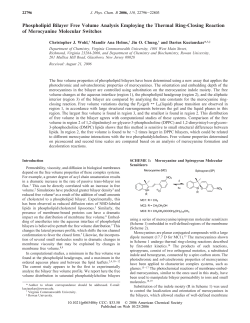 Phospholipid Bilayer Free Volume Analysis Employing the Thermal