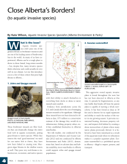 Close Alberta`s Borders! - Alberta Wilderness Association