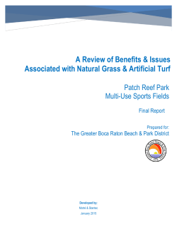 Cot Benefit Analysis Template