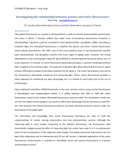 STSM report_Peiqi Yang