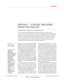 medaka &mdash; a model organism from the far east