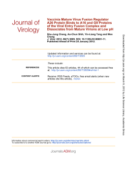 Dissociates from Mature Virions at Low pH of the Viral Entry Fusion