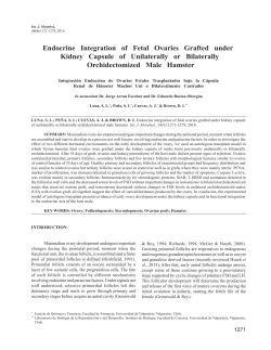 Endocrine Integration of Fetal Ovaries Grafted under