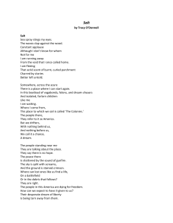 by Tracy O`Donnell Salt Sea spray stings my eyes. The waves clap