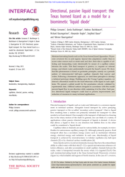 Directional, passive liquid transport: the Texas horned lizard as a