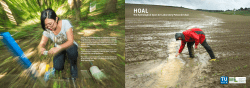 HOAL Brochure