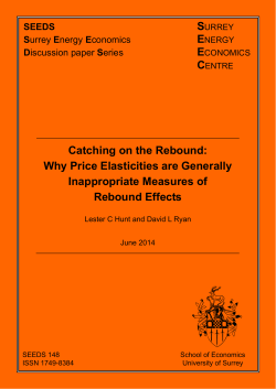Catching on the Rebound - Surrey Energy Economics Centre
