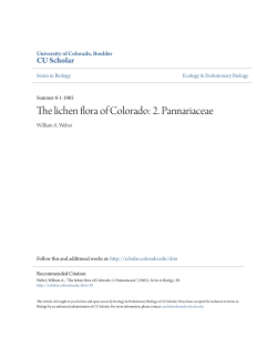 The lichen flora of Colorado: 2. Pannariaceae