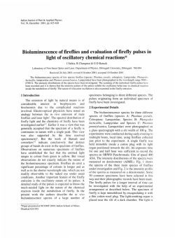 Bioluminescence of fireflies and evaluation of firefly pulses in light of