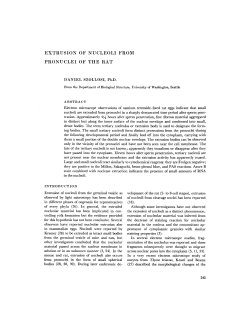 EXTRUSION OF NUCLEOLI FROM PRONUCLEI