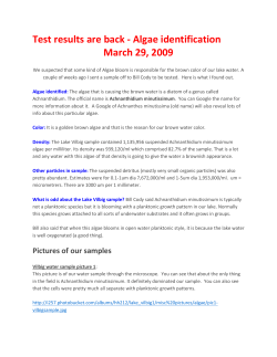 Test results are back - Algae identification March 29, 2009