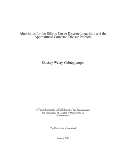 Algorithms for the Elliptic Curve Discrete Logarithm and the