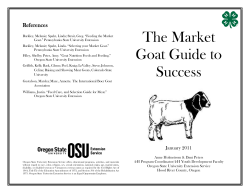 The Market Goat Guide to Success
