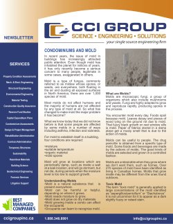 Condominiums and Mold