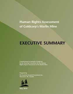 EXECUTIVE SUMMARY