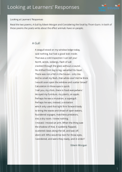 Looking at Learners` Responses