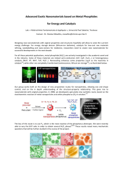 Advanced Exotic Nanomaterials based on Metal Phosphides for