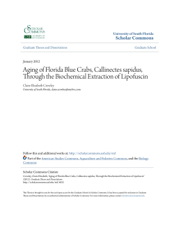 Aging of Florida Blue Crabs, Callinectes sapidus, Through the
