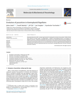 Evolution of parasitism in kinetoplastid flagellates