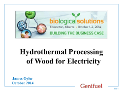Hydrothermal Processing of Wood for Electricity