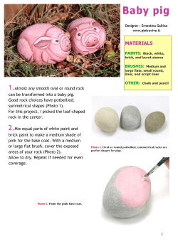Baby pig - Ernestina Gallina