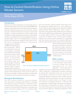 How to Control Denitrification Using Online Nitrate Sensors
