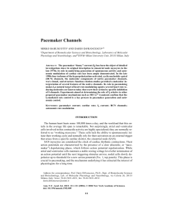 Pacemaker Channels