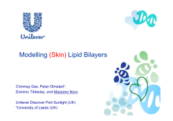 Modelling (Skin) Lipid Bilayers