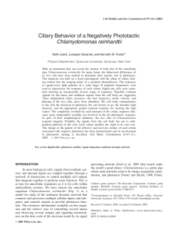 Ciliary behavior of a negatively phototactic