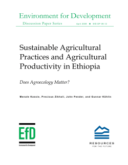 Sustainable Agricultural Practices and Agricultural Productivity in
