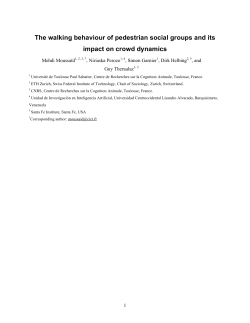 The walking behaviour of pedestrian social groups and its impact on