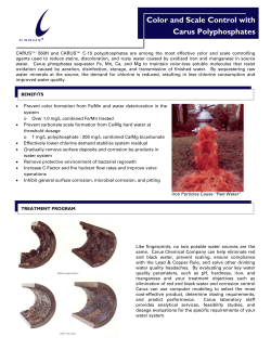 Color And Scale Control