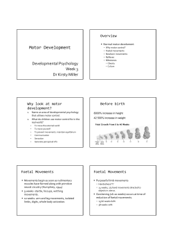 Motor Development