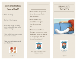 Patient Education Tri-fold