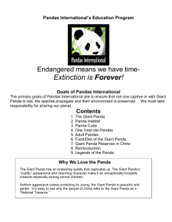 The Giant Panda - Pandas International