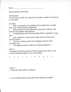 DNA Replication worksheet
