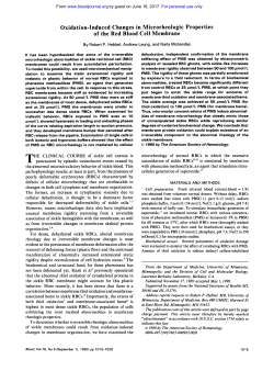 Oxidation-Induced Changes in Microrheologic