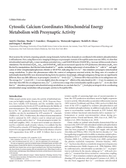 Cytosolic Calcium Coordinates Mitochondrial Energy Metabolism
