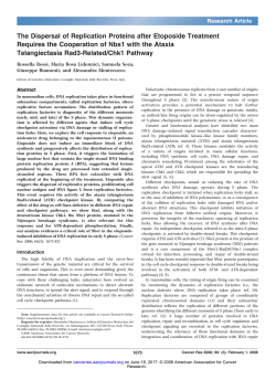The Dispersal of Replication Proteins after
