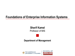 Foundations of Enterprise Information Systems