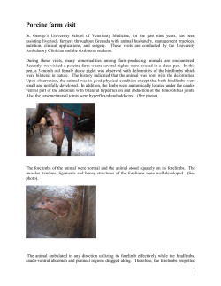 Porcine farm visit - St. George`s University