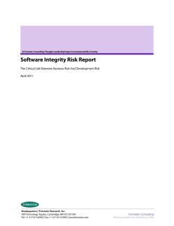 Software Integrity Risk Report