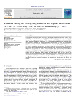 Cancer cell labeling and tracking using fluorescent and magnetic