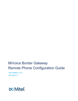 Teleworker Remote Phone Guide