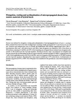 Elongation, rooting and acclimatization of micropropagated shoots