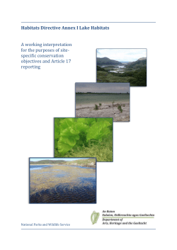 Habitats Directive Annex I Lake Habitats A working