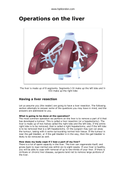 Operations on the liver