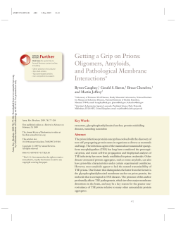 Getting a Grip on Prions: Oligomers, Amyloids, and Pathological