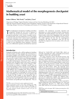 Mathematical model of the morphogenesis checkpoint in budding