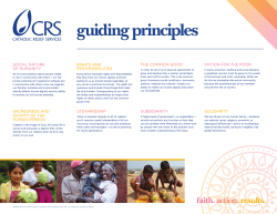 guiding principles guiding principles principles